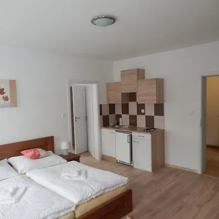 Dueta Apartment Cesky Krumlov Room photo